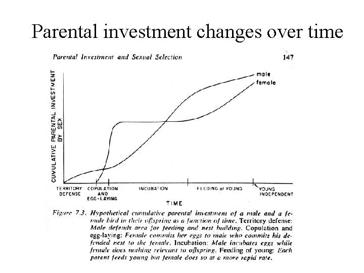 Parental investment changes over time 