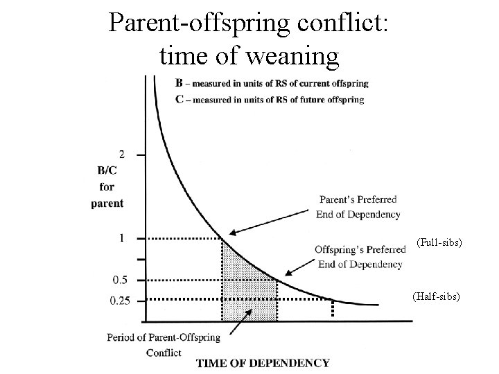 Parent-offspring conflict: time of weaning (Full-sibs) (Half-sibs) 