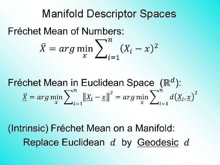 Manifold Descriptor Spaces • 