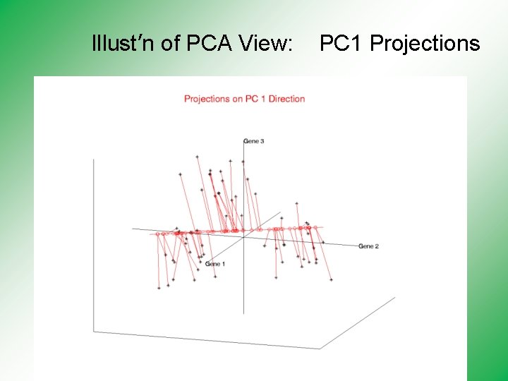 Illust’n of PCA View: PC 1 Projections 