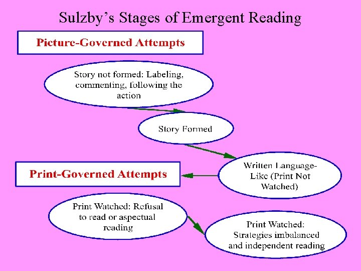 Sulzby’s Stages of Emergent Reading 