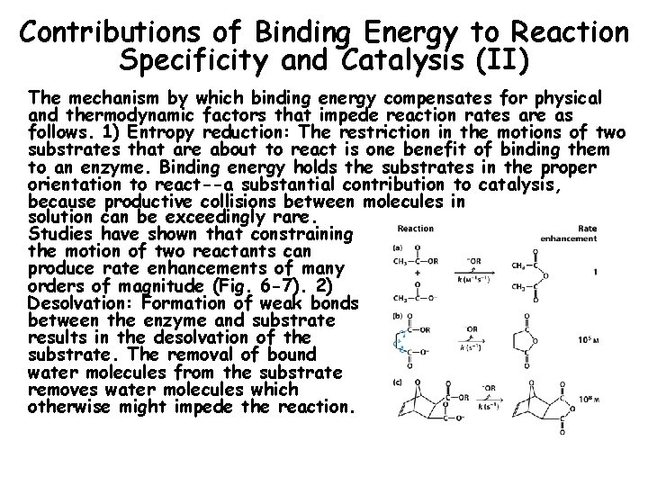 Contributions of Binding Energy to Reaction Specificity and Catalysis (II) The mechanism by which