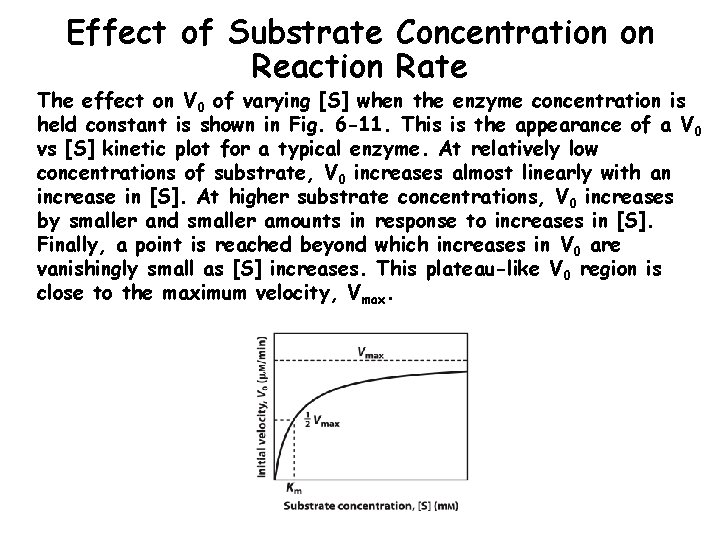 Effect of Substrate Concentration on Reaction Rate The effect on V 0 of varying