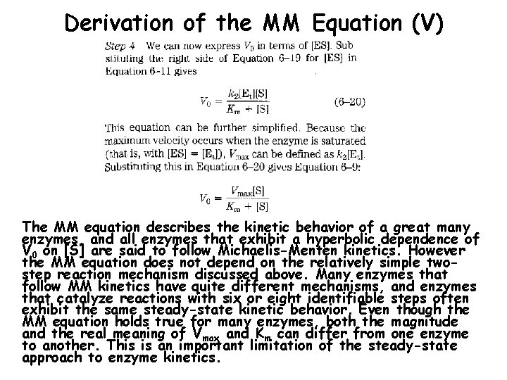 Derivation of the MM Equation (V) The MM equation describes the kinetic behavior of