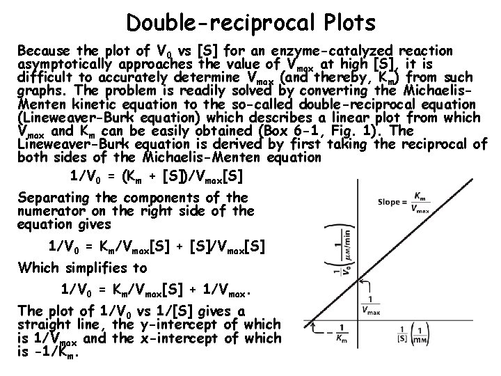 Double-reciprocal Plots Because the plot of V 0 vs [S] for an enzyme-catalyzed reaction