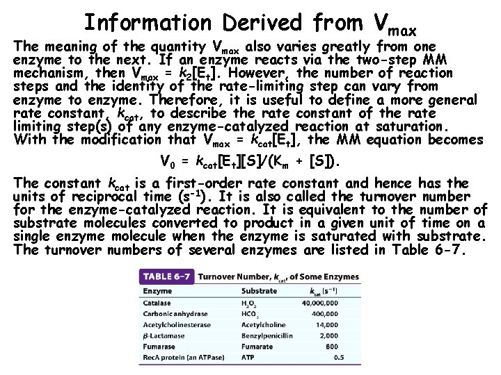 Information Derived from Vmax The meaning of the quantity Vmax also varies greatly from