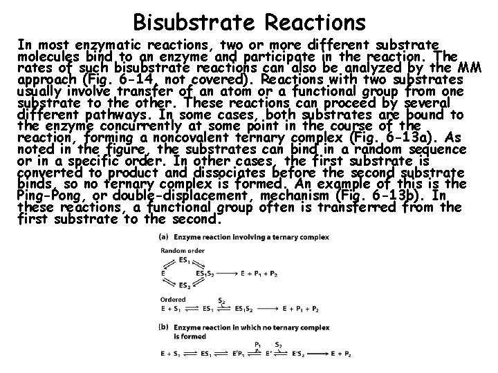 Bisubstrate Reactions In most enzymatic reactions, two or more different substrate molecules bind to