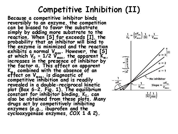 Competitive Inhibition (II) Because a competitive inhibitor binds reversibly to an enzyme, the competition