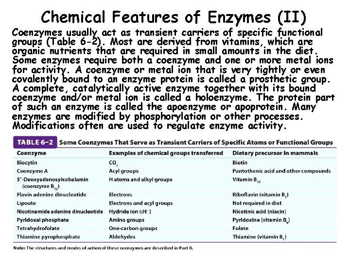 Chemical Features of Enzymes (II) Coenzymes usually act as transient carriers of specific functional