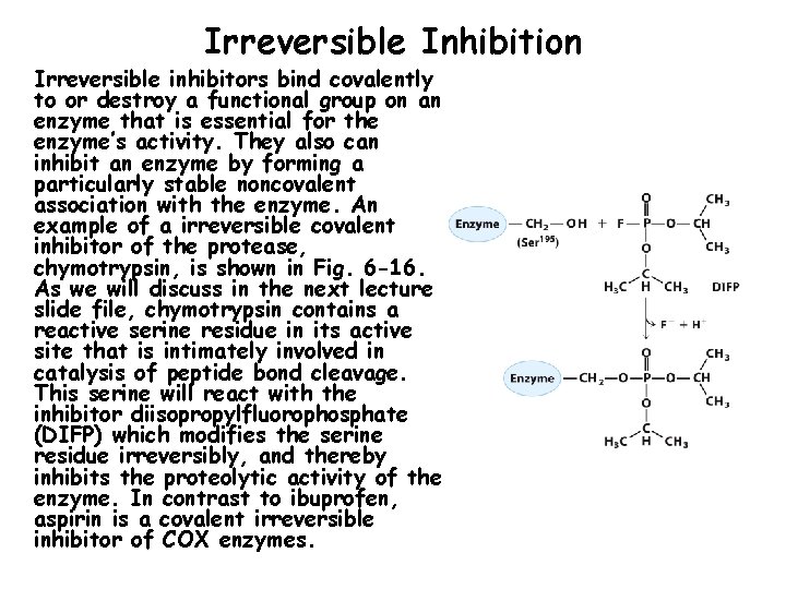 Irreversible Inhibition Irreversible inhibitors bind covalently to or destroy a functional group on an