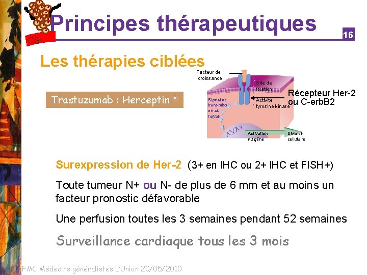 Principes thérapeutiques CSI 16 Les thérapies ciblées Facteur de croissance Trastuzumab : Herceptin Signal