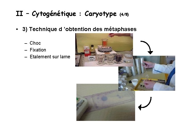 II – Cytogénétique : Caryotype (4/5) • 3) Technique d ’obtention des métaphases –