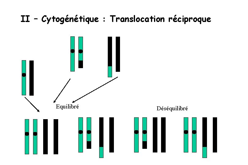 II – Cytogénétique : Translocation réciproque Equilibré Déséquilibré 