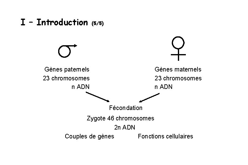 I – Introduction Gènes paternels 23 chromosomes n ADN (5/5) Gènes maternels 23 chromosomes