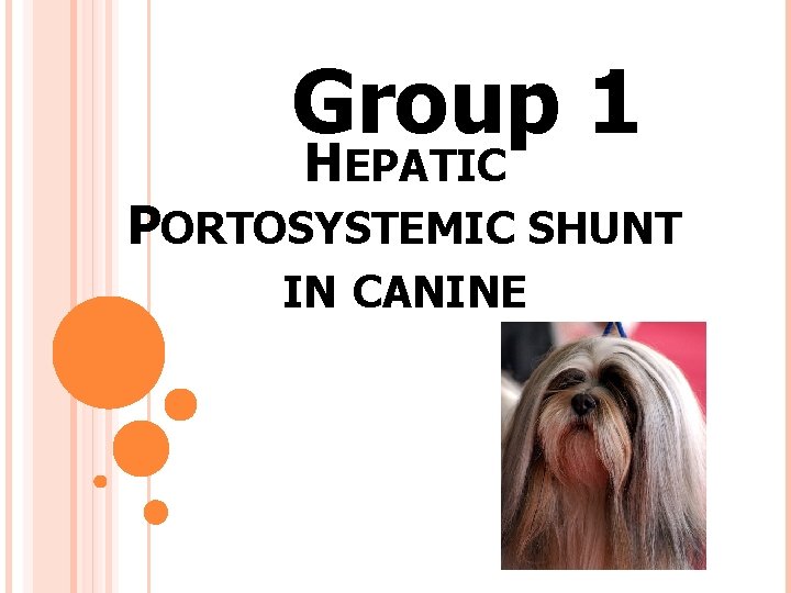 Group 1 HEPATIC PORTOSYSTEMIC SHUNT IN CANINE 