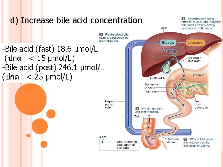 d) Increase bile acid concentration -Bile acid (fast) 18. 6 μmol/L (ปกต < 15
