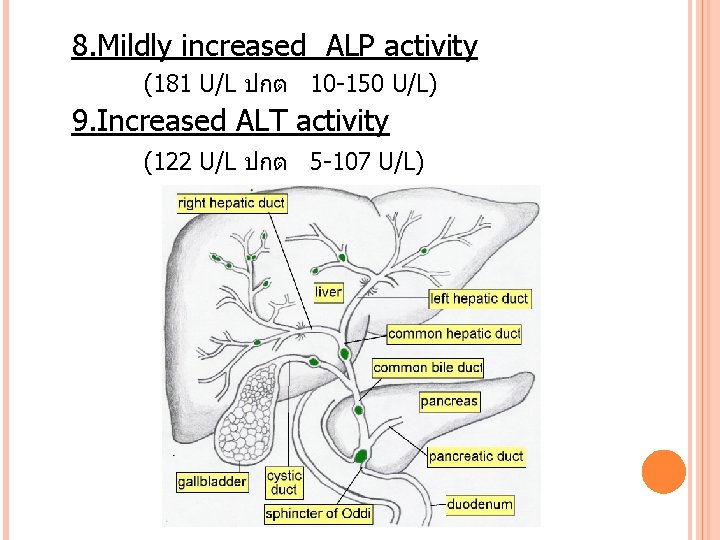 8. Mildly increased ALP activity (181 U/L ปกต 10 -150 U/L) 9. Increased ALT