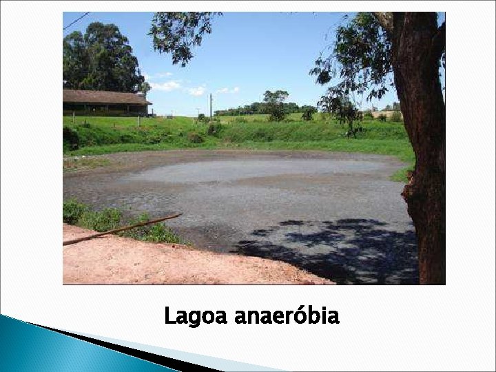 Lagoa anaeróbia 