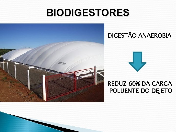 BIODIGESTORES DIGESTÃO ANAEROBIA REDUZ 60% DA CARGA POLUENTE DO DEJETO 