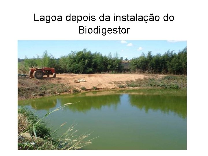 Lagoa depois da instalação do Biodigestor 