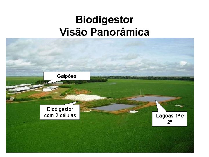 Biodigestor Visão Panorâmica Galpões Biodigestor com 2 células Lagoas 1ª e 2ª 