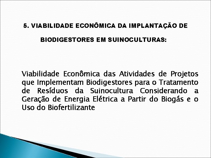 5. VIABILIDADE ECONÔMICA DA IMPLANTAÇÃO DE BIODIGESTORES EM SUINOCULTURAS: Viabilidade Econômica das Atividades de