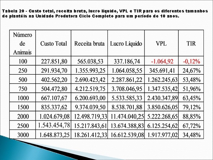 Tabela 20 - Custo total, receita bruta, lucro líquido, VPL e TIR para os