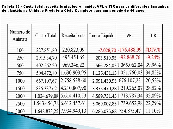 Tabela 23 - Custo total, receita bruta, lucro líquido, VPL e TIR para os