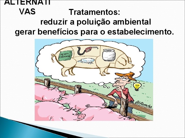 ALTERNATI VAS Tratamentos: reduzir a poluição ambiental gerar benefícios para o estabelecimento. 