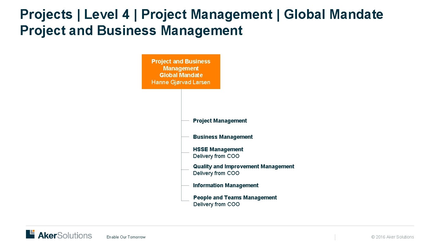 Projects | Level 4 | Project Management | Global Mandate Project and Business Management