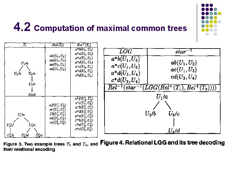 4. 2 Computation of maximal common trees 