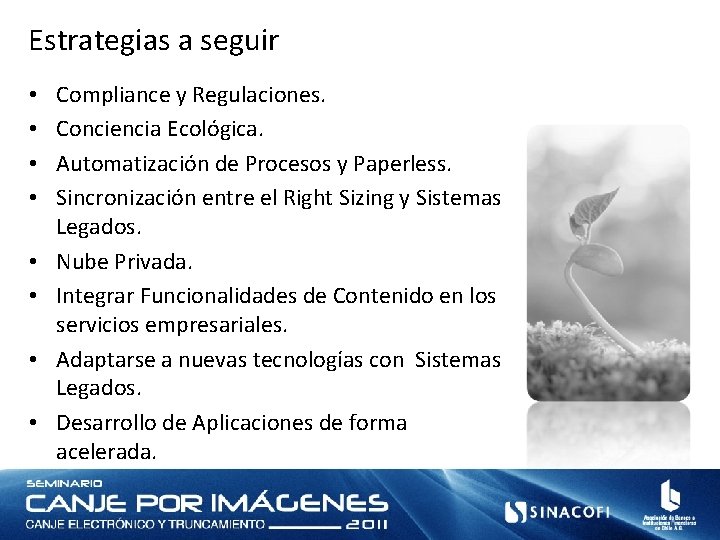 Estrategias a seguir • • Compliance y Regulaciones. Conciencia Ecológica. Automatización de Procesos y