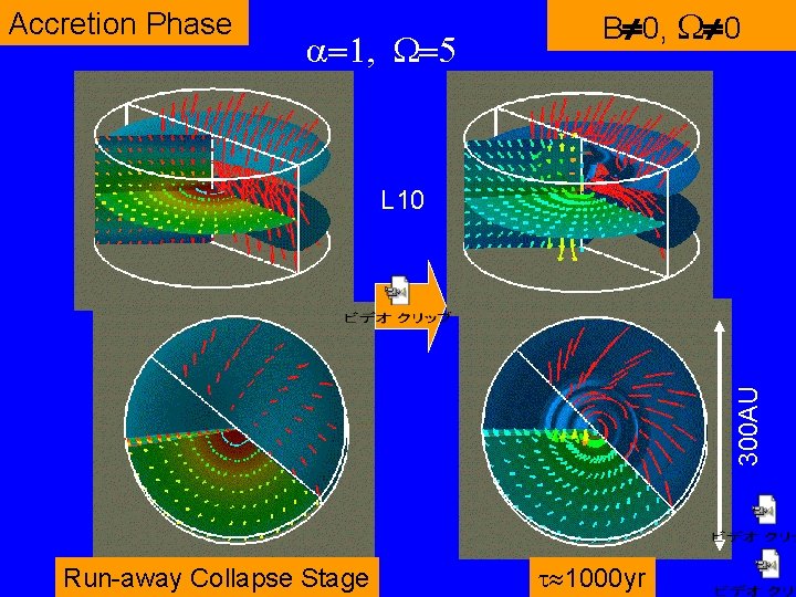 Accretion Phase a=1, W=5 B¹ 0, W¹ 0 300 AU L 10 Run-away Collapse