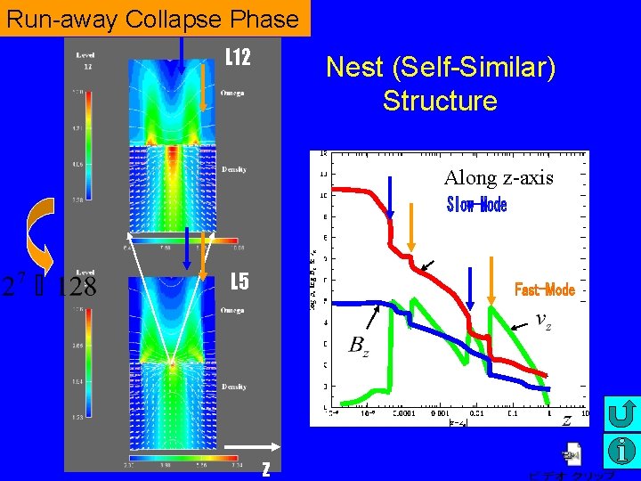 Run-away Collapse Phase L 12 Nest (Self-Similar) Structure Along z-axis r L 5 z