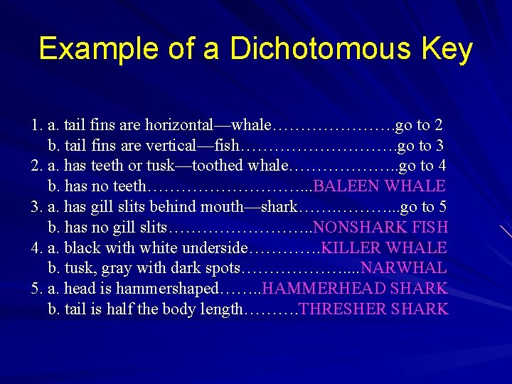 Example of a Dichotomous Key 1. a. tail fins are horizontal—whale…………………. go to 2