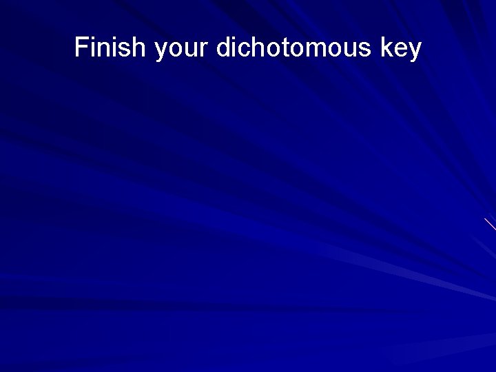 Finish your dichotomous key 