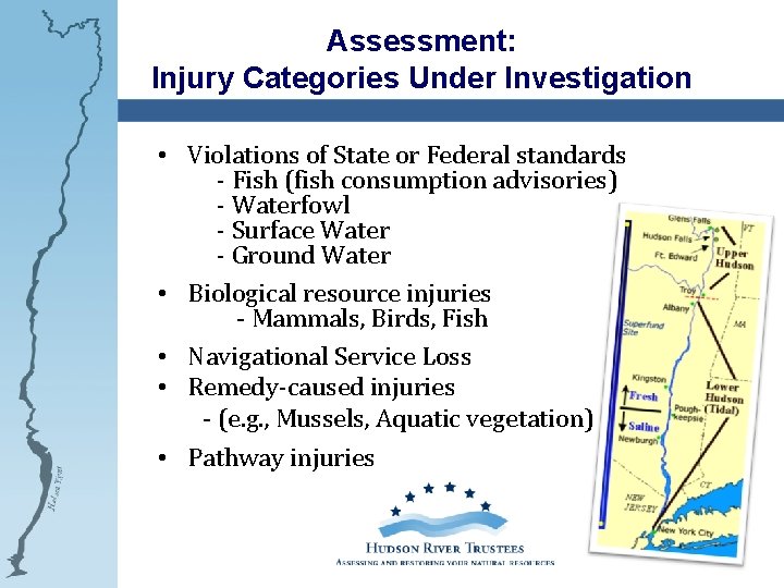 Assessment: Injury Categories Under Investigation • Violations of State or Federal standards - Fish