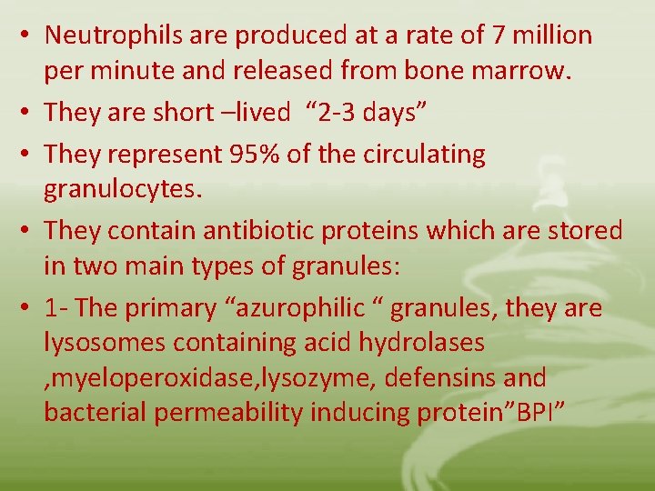  • Neutrophils are produced at a rate of 7 million per minute and