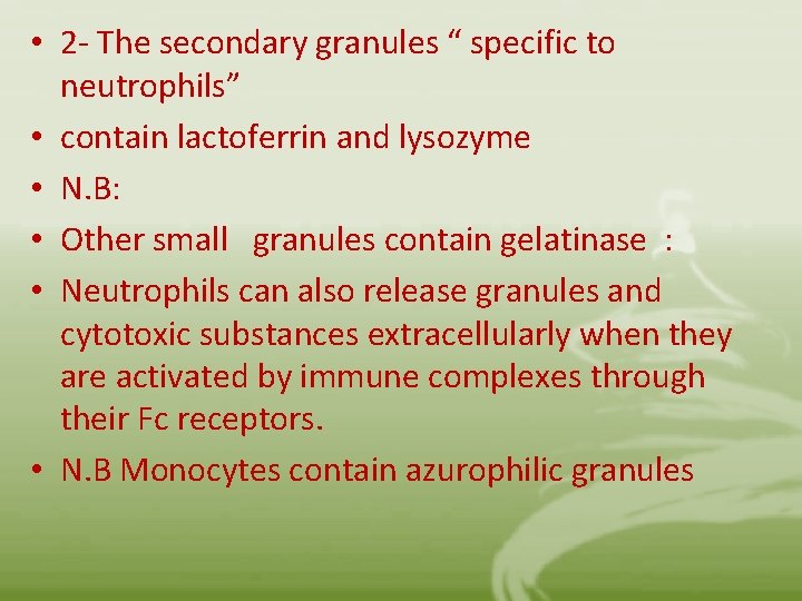  • 2 - The secondary granules “ specific to neutrophils” • contain lactoferrin
