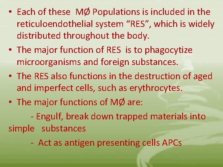 • Each of these MØ Populations is included in the reticuloendothelial system “RES”,