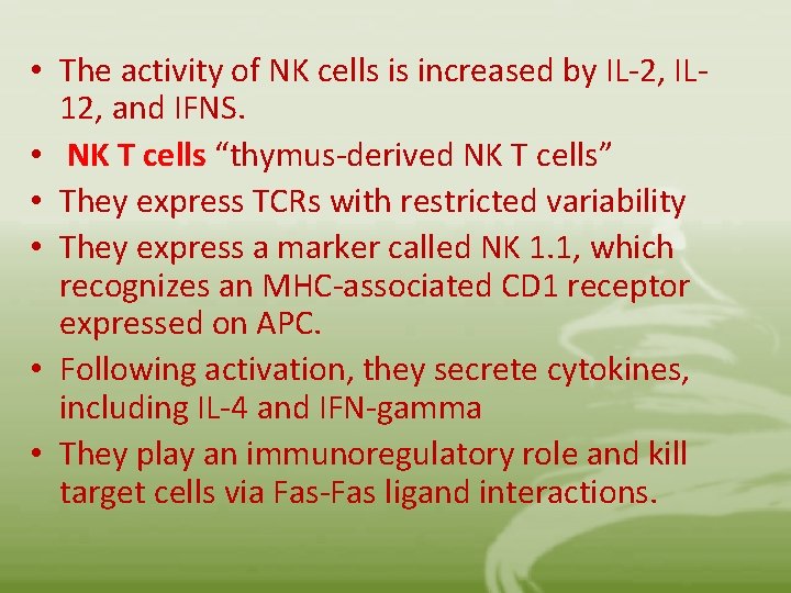  • The activity of NK cells is increased by IL-2, IL 12, and