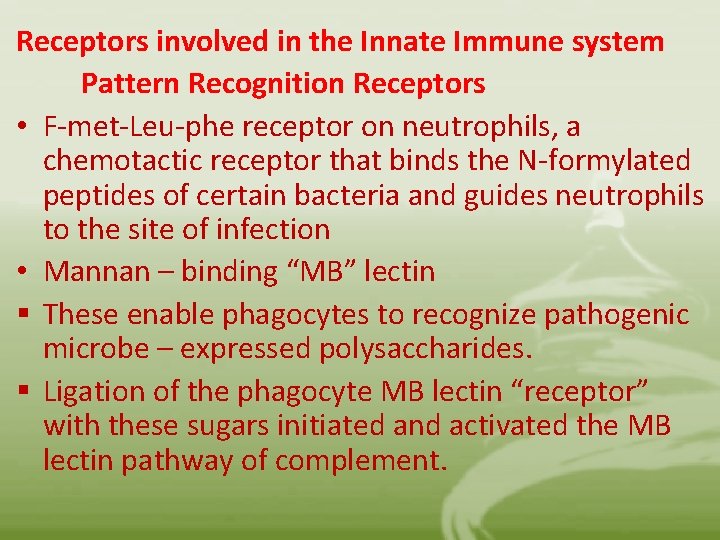 Receptors involved in the Innate Immune system Pattern Recognition Receptors • F-met-Leu-phe receptor on