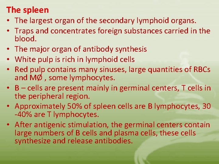 The spleen • The largest organ of the secondary lymphoid organs. • Traps and