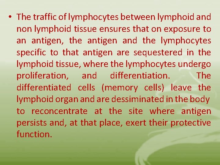  • The traffic of lymphocytes between lymphoid and non lymphoid tissue ensures that