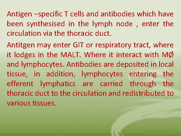 Antigen –specific T cells and antibodies which have been synthesised in the lymph node