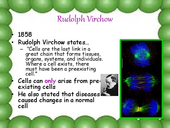 Rudolph Virchow • 1858 • Rudolph Virchow states… – “Cells are the last link