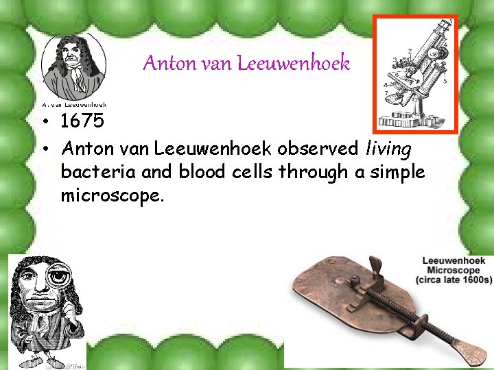 Anton van Leeuwenhoek • 1675 • Anton van Leeuwenhoek observed living bacteria and blood
