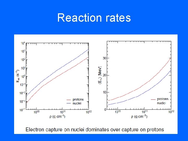 Reaction rates 