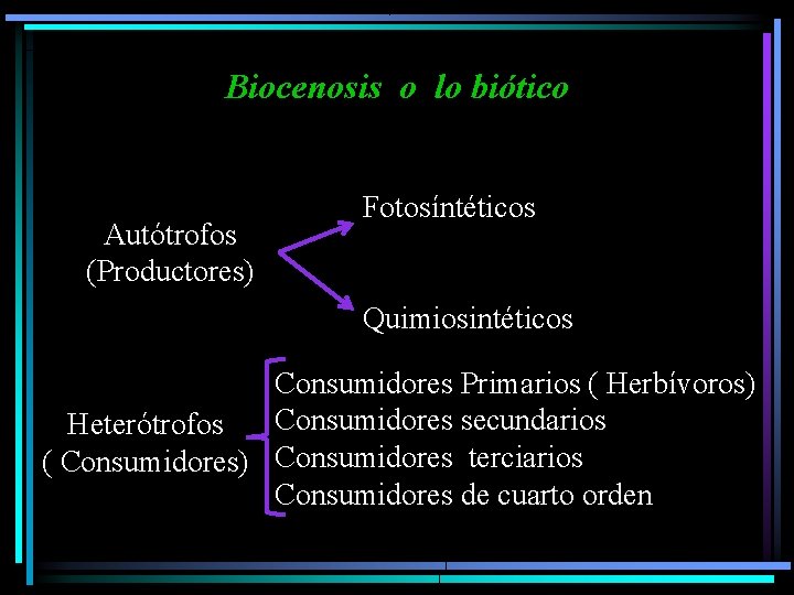 Biocenosis o lo biótico Autótrofos (Productores) Fotosíntéticos Quimiosintéticos Consumidores Primarios ( Herbívoros) Heterótrofos Consumidores