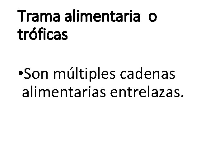 Trama alimentaria o tróficas • Son múltiples cadenas alimentarias entrelazas. 